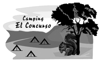 CAMPING EL CONCURSO